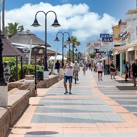 Bhost - La Carihuela Perros